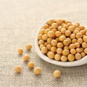 White hilum soybeans