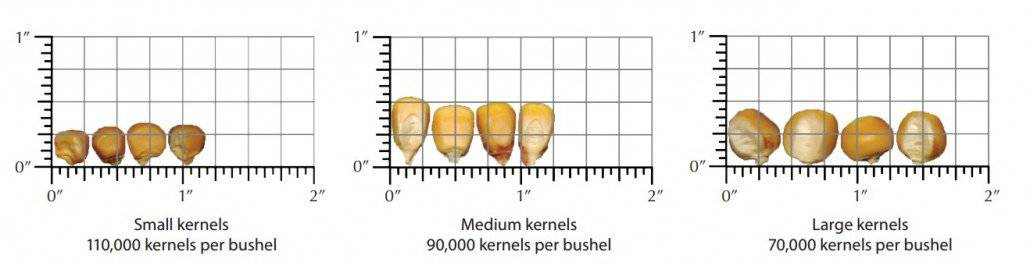 Calculating Corn Yield Chart