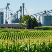 Grain storage bins