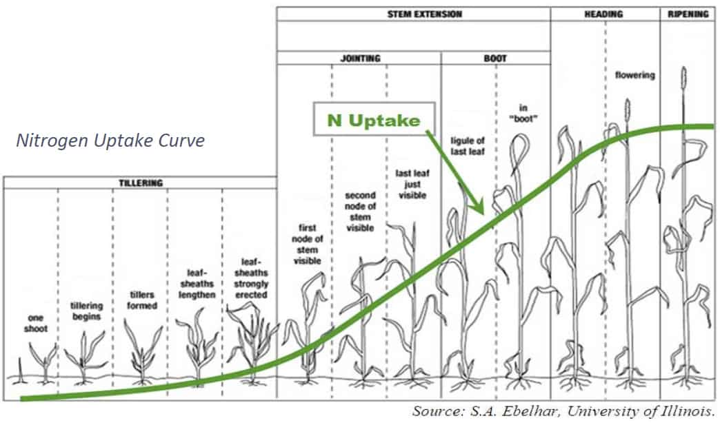 Nitrogen on winter wheat chart