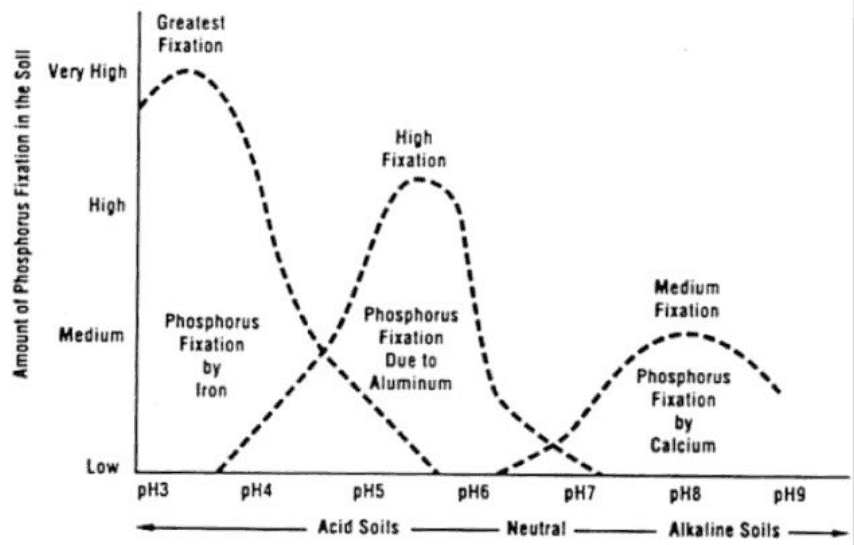 Phosphorus tieup chart