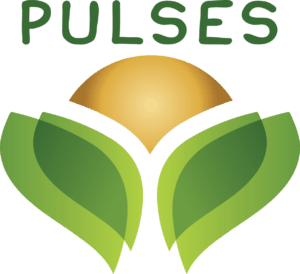 pulses logo